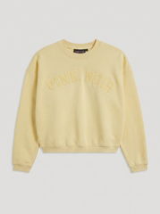 Towel Sweatshirt | Pineapple Slice